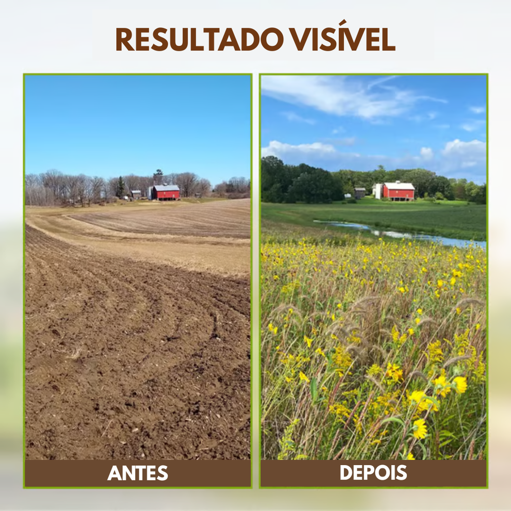 Ativador de Solo - O Segredo para uma Terra Sempre Fértil + BRINDE HOJE: Kit 20 Sementes Premium🔥